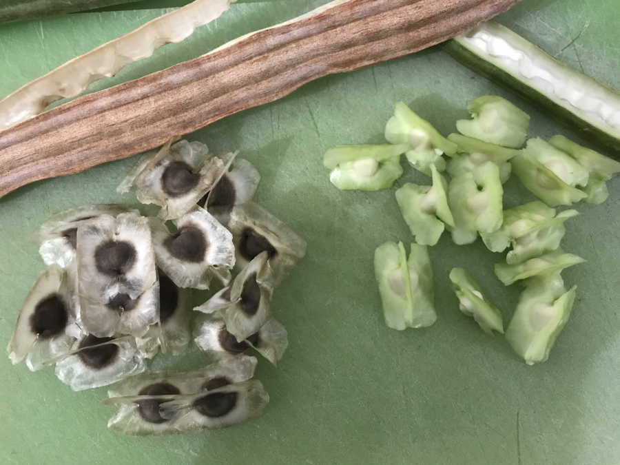 © Destination974 | Blog Randonnées à La Réunion pour famille
Graines de mouroungue