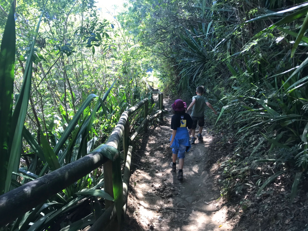 Le bras de la plaine via le Sentier Dassy année 2020