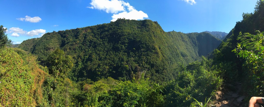 Le bras de la plaine via le Sentier Dassy - paysage