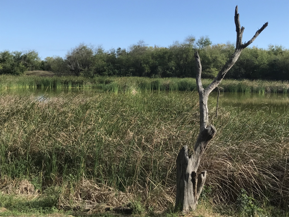 L'étang du Gol - Les anciennes gravières du Gol - île de la Réunion