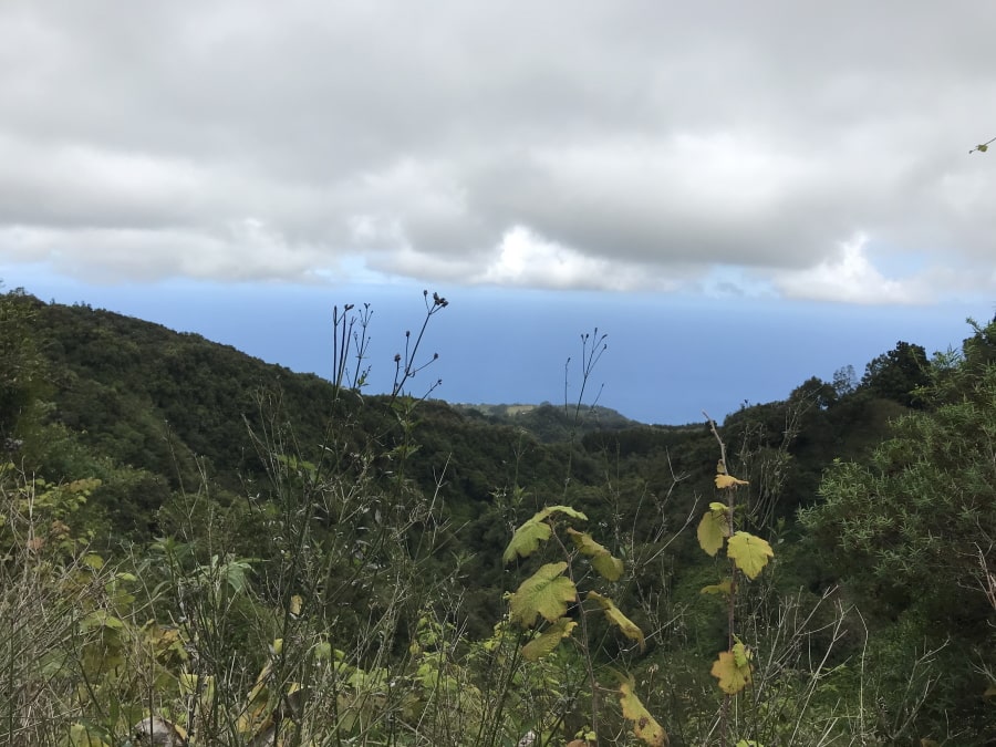 Destination974 Blog Randonnées à La Réunion pour famille - sentier des ouvirers panoramique