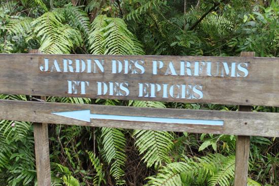 © Destination974 | Blog Randonnées à La Réunion pour famille
