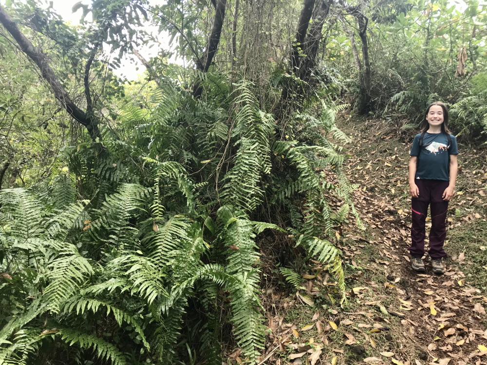 © Destination974 | Blog Randonnées à La Réunion pour famille
