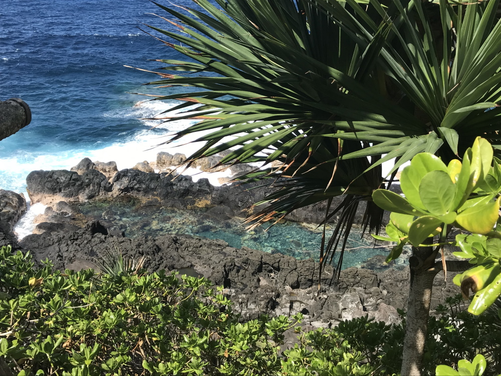 © Destination974 | Blog Randonnées à La Réunion pour famille
