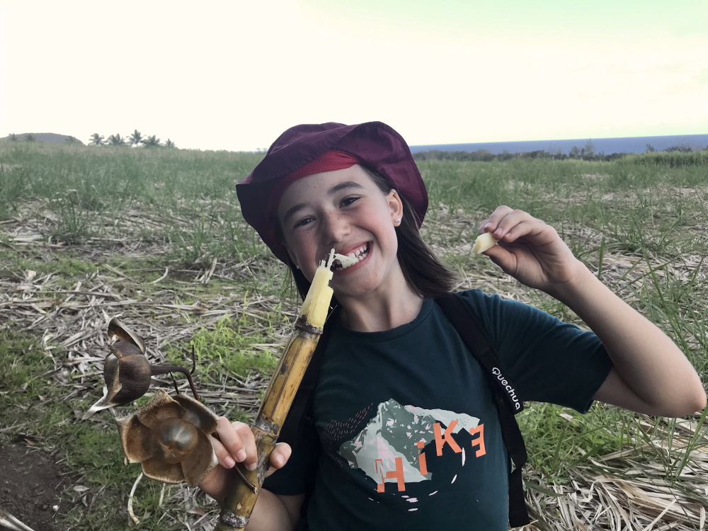 © Destination974 | Blog Randonnées à La Réunion pour famille