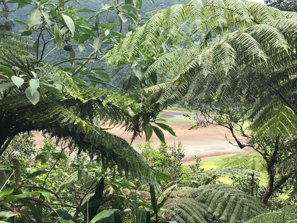 © Destination974 | Blog Randonnées à La Réunion pour famille - Île de la Réunion. Randonnée Grand Etang et les cascades du Bras d'Annette