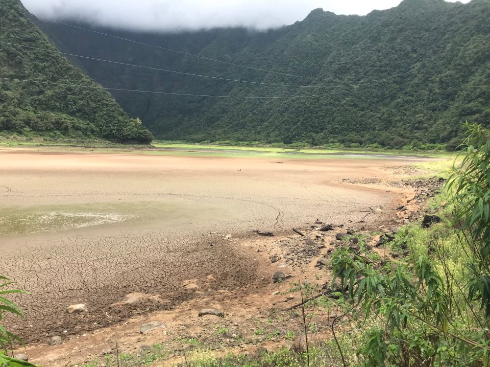 © Destination974 | Blog Randonnées à La Réunion pour famille - Île de la Réunion. Randonnée Grand Etang et les cascades du Bras d'Annette