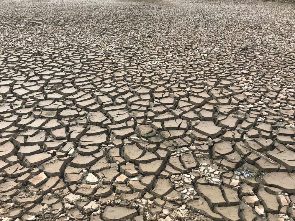 © Destination974 | Blog Randonnées à La Réunion pour famille - Île de la Réunion. Randonnée Grand Etang et les cascades du Bras d'Annette