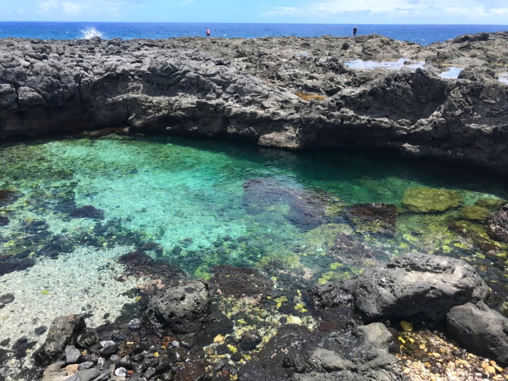 02 Bassin pointe au sel  - Saint Leu - Destination 974