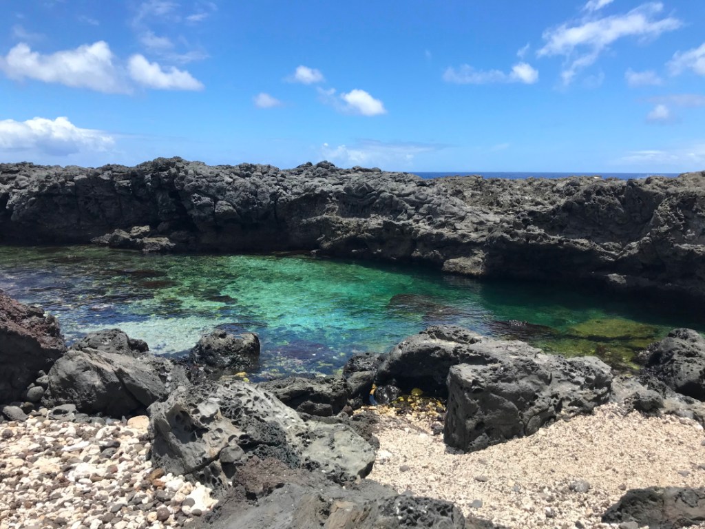 03 Bassin pointe au sel  - Saint Leu - Destination 974