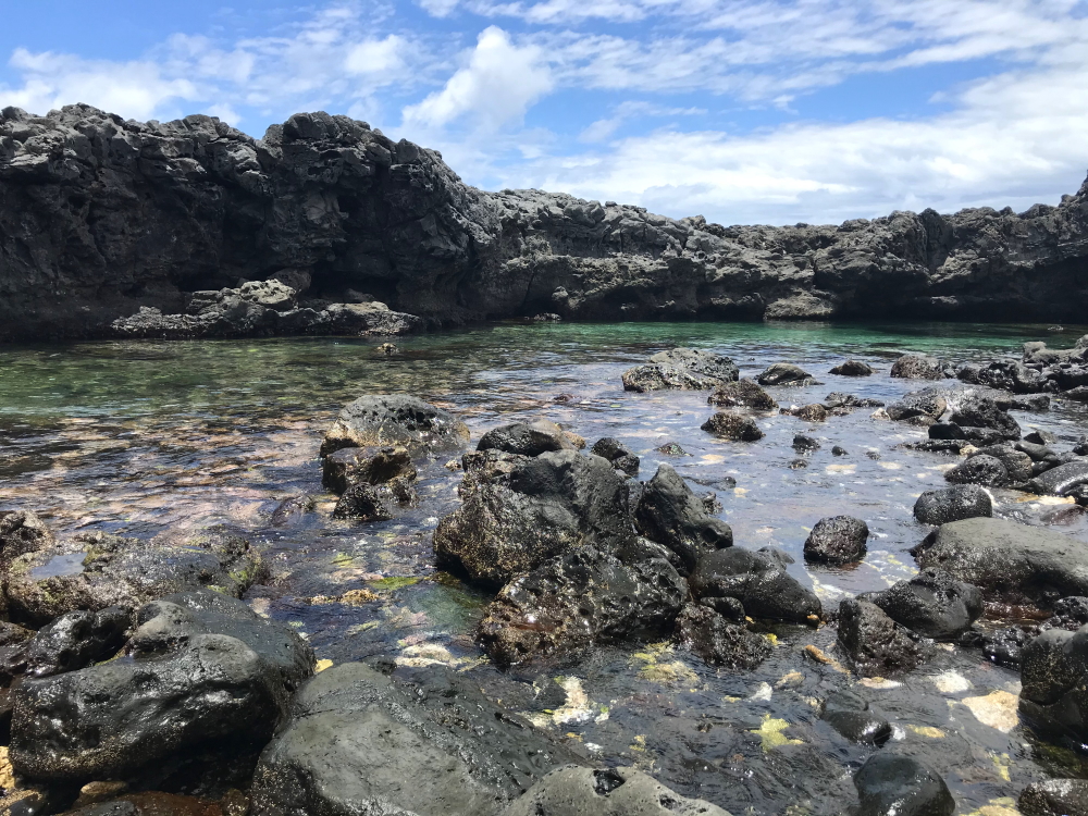 05 Bassin pointe au sel  - Saint Leu - Destination 974
