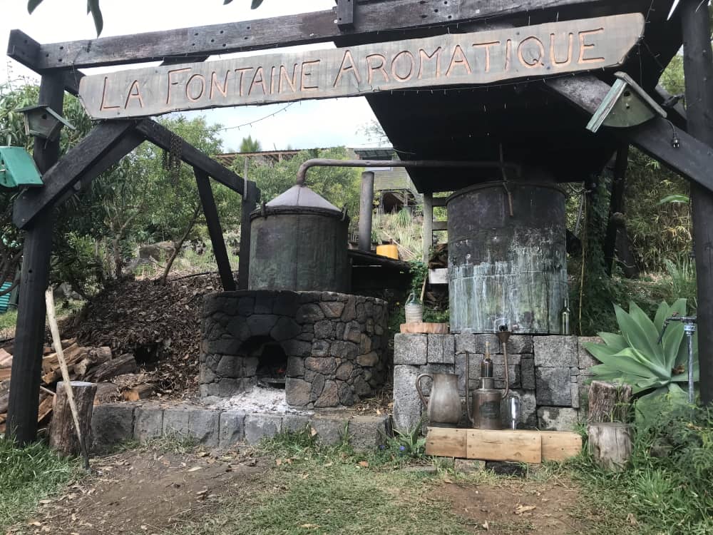 Île de la Réunion. La fontaine Aromatique à Saint-Leu
© Destination974 | Blog Randonnées à La Réunion pour famille