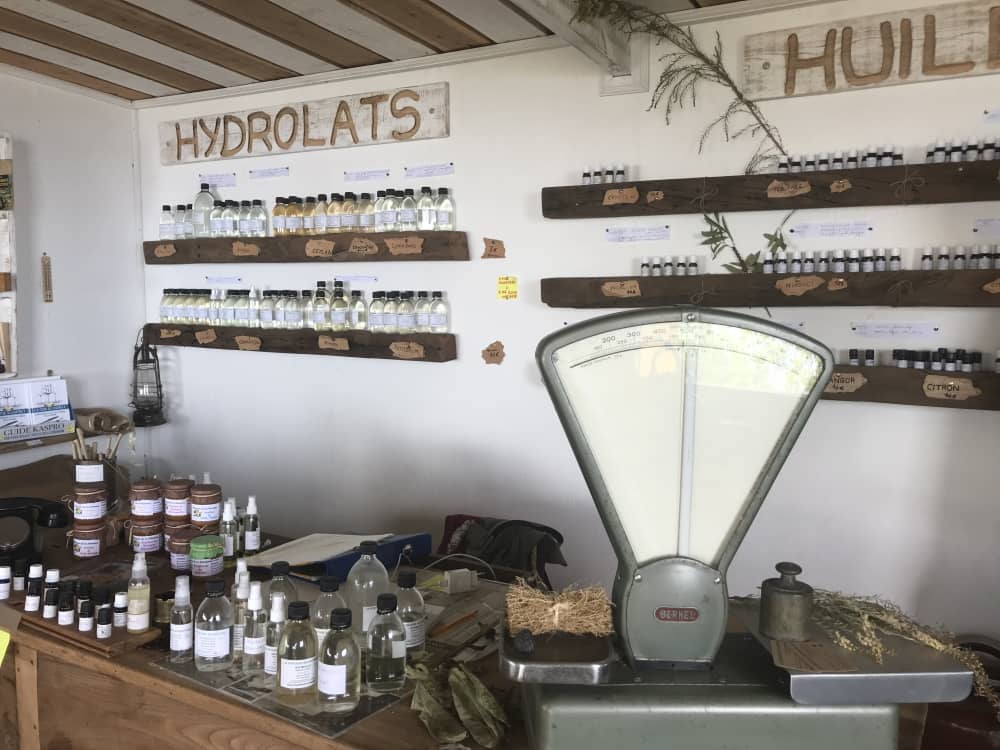 Île de la Réunion. La fontaine Aromatique à Saint-Leu
© Destination974 | Blog Randonnées à La Réunion pour famille