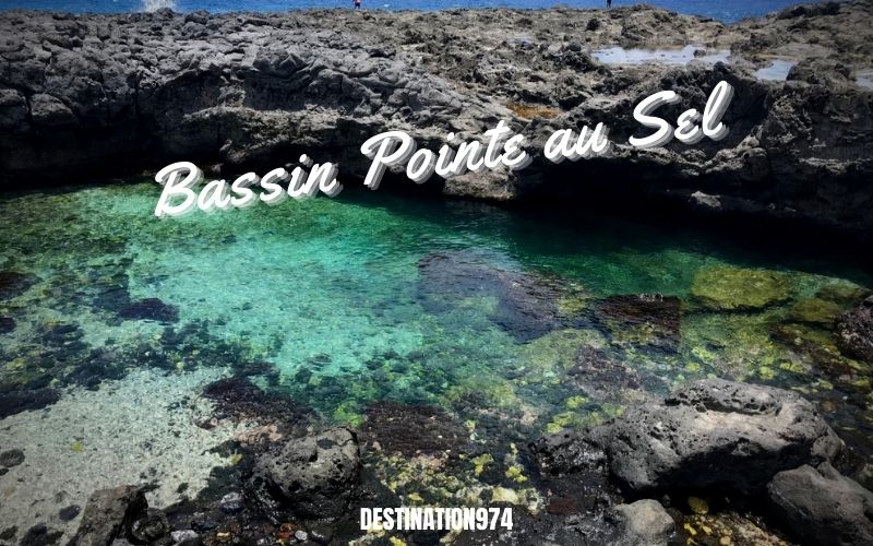 Bassin pointe au sel  - Saint Leu - Destination 974