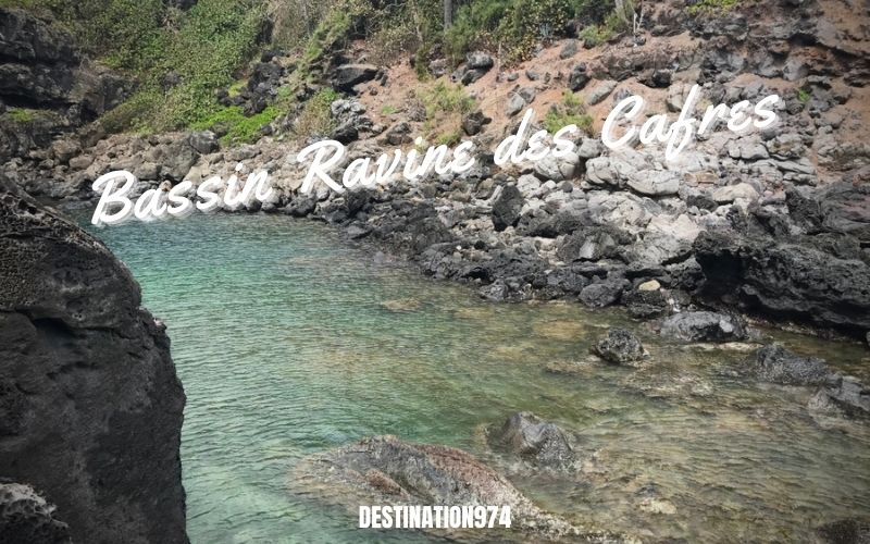 Visite du Bassin Ravine des Cafres après Saint Pierre- Entre Terre rouge Boissy et Ravine des Cafres