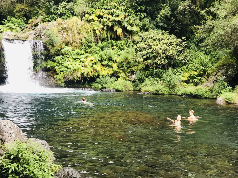 Cascade Langevin année 2021
© Destination974 | Blog Randonnées à La Réunion pour famille