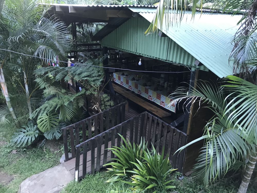03-Randonnée Le bras de la Plaine jusqu'à Îlet Boulon depuis le Pont d'Yves
